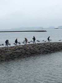 2b0f7cf963c44e88b1b025171f3f45e3