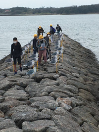 B4fbbc8c6b50469b958c10b2ed9e509e