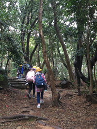 D347c24d5d9a425aa098b9c866b59ed5