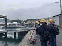 Ea26dc0d6f5742ce862bf40d95561a39