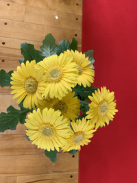 473e7345d394476eae8160f3038e81f2