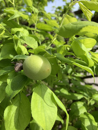 99989287e9404c13b4c540f01dba1bf5