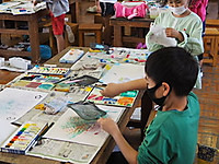 B1184089ca7d4134b8c61a5c6ea6592e