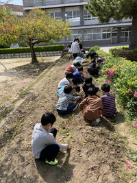 A99f61f6a437405fa4960f6bea0002fc