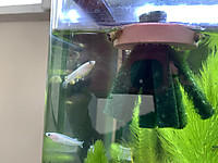 73ee6d50c1864c348f3f46bb0028219c