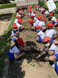 1779101c9208434eb18e8230ce211869