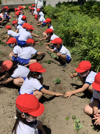 65bc01187ebd41219c7cf6c194e39b98