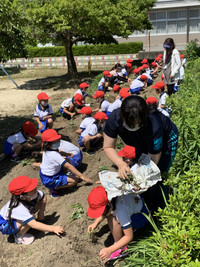 De85b58d8a7741f2b725eedecccb3b56