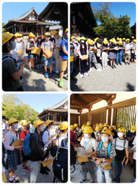 211004114129248_deco